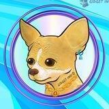 Gidget Inu (Taco Bell Dog)