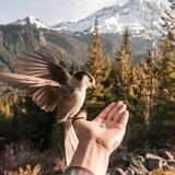 Events zu Herzensbegegnungen, Heilung, Conscious Body etc in Augsburg und Umgebung