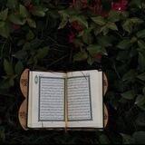 آيات قرآنية_Ayat Qurania