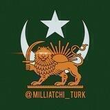 | Milliyətçi Türk |
