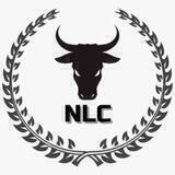 NLC INFORMAÇÕES