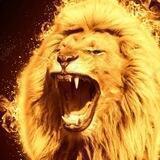 DEBOUT 68