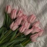 Dira_blog