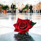 🎈مصباح الهدى 🎈