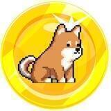 Nintendogetoken