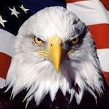 America Today