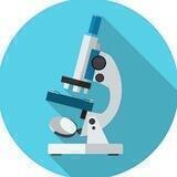 🔬МИКРООЛАМ!