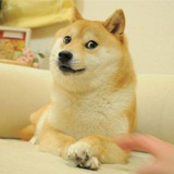 Own The Doge 🐶🖼