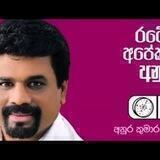 ජාතික ජන බලවේගය 🧭