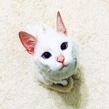 zoohelp_oktyabrskiy