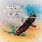 پکیج آموزشی ودوره رایگان