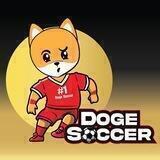 Dog soccer Viet Nam Community 🇻🇳