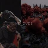 n e _ n u d i ✖️