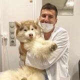 imranvet