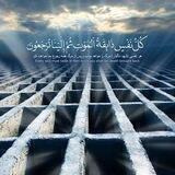 كُلُّ نَفْسٍ ذَائِقَةُ الْمَوْتِ