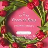◉✿◦•🌸[Flores de Deus ]🌸•◦✿◉