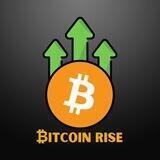 Bitcoin Rise Portal