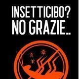 INSETTICIBO - SEGNALIAMO PRODOTTI CONTENENTI FARINE D'INSETTI E OBBROBRI SIMILI