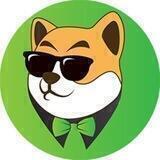 BigWigDoge Chat