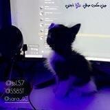 اغاني ريمكس [FM]