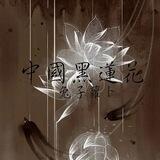 ꧁ 𝘽𝙡𝙖𝙘𝙠 𝙡𝙤𝙩𝙪𝙨 ꧂ ༺ 黑莲花 ༻