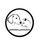 Помощь животным пгт.Славянка