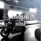 (закрыто) ᴋᴀwᴀsᴀᴋi ninjᴀ