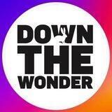 DOWN THE WONDER