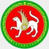 Омбудсмен Республики Татарстан Сария Сабурская, омбудсман Татарстана, УПЧ в РТ, Уполномоченный по правам человека в РТ