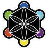 Jivas_shop