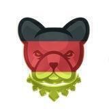 Pitbull Germany