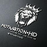 MOTIVATION•HD | Vizitka