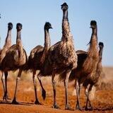 old no longer in use see new channel We The People Of Australia
