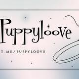 Puppy's Talent