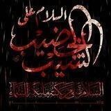 لم لا نراك