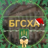 УО БГСХА