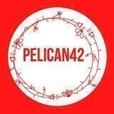 CП Детская одежда Pelican Кемерово