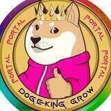 Dogeking Grow - Portal Channel