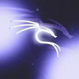 (root@kali)-[~] forum rootsploit // 52 NGG