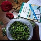 ساده سازی آموزگاری_امید خردمند