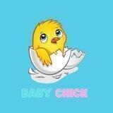 Baby Chick