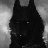 Wolf's