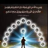 🌴روح الولاية 🌴