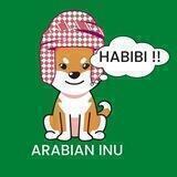 ARABIAN INU ERC