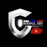 Interpol Defi Ⓒ VN