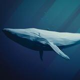 Whale Friend