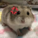 (⁠｡⁠•̀⁠ᴗ⁠-⁠)⁠✧ @ KEpSAL