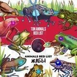 ARL FROGS | Chat