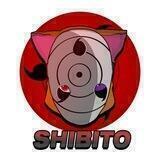 Shibito Portal