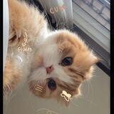 Bayi! ♥︎